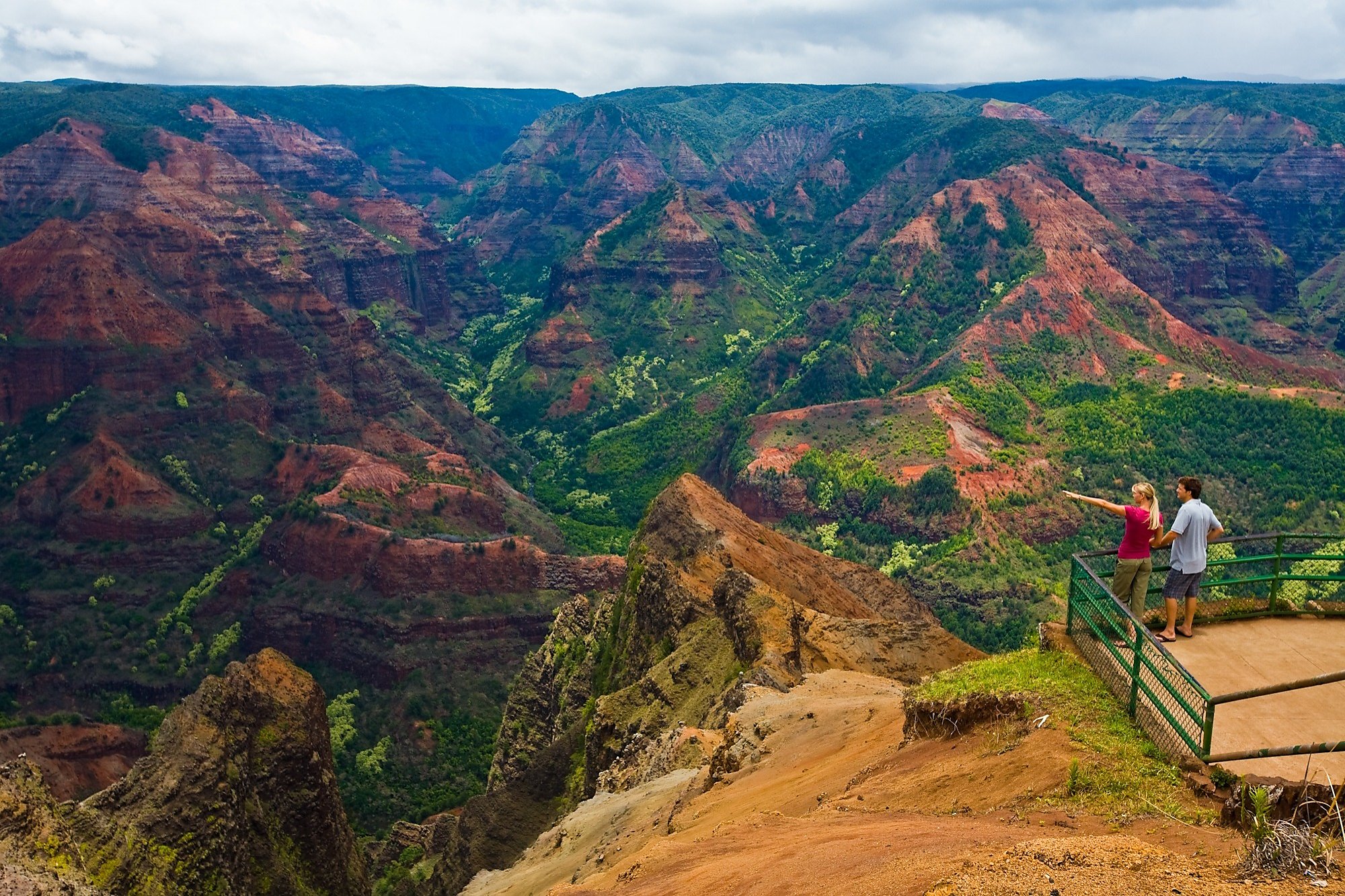 Waimea Canyon Tour With Steve's Taxi & Tours Kauai